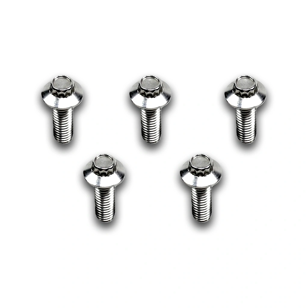 Silver Rear Brake Rotor Bolt Kit for Harley - Image 3
