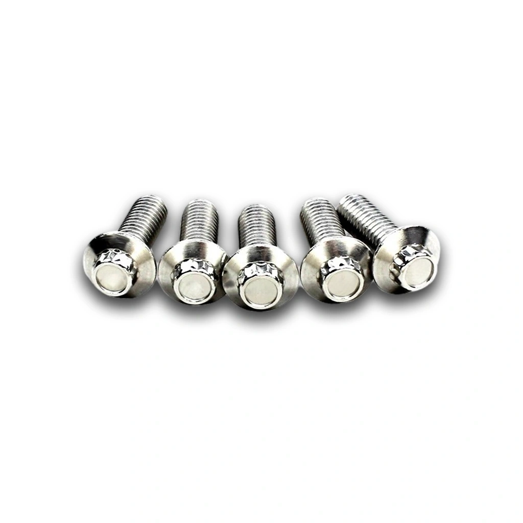 Silver Rear Brake Rotor Bolt Kit for Harley - Image 5